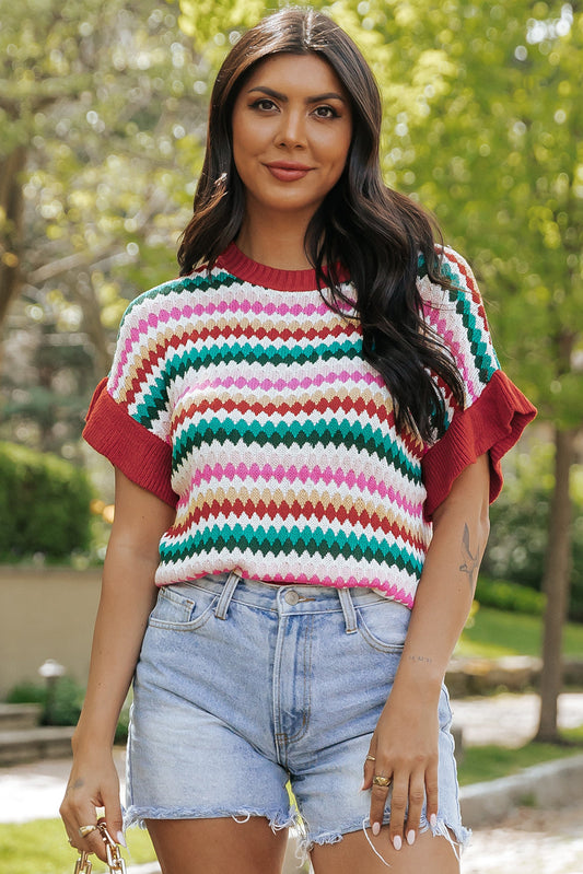 Molly Sleeve Colorful Textured Sweater
